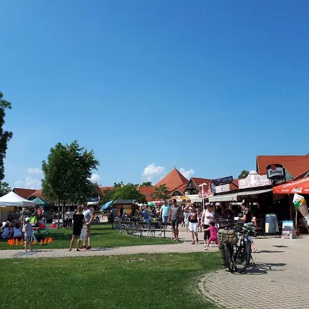 Háziállatbarát Mandula Ház Központjánál *