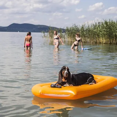 Haziallatbarat Mandula Haz Koezpontjanal *