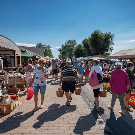 Háziállatbarát Mandula Ház Központjánál *